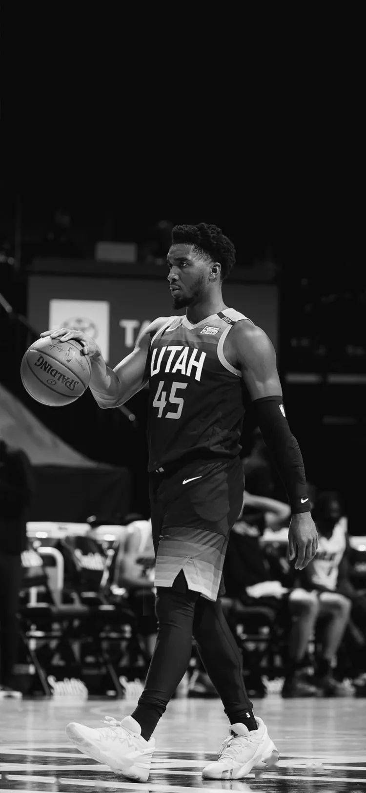 争夺珍贵的 争夺珍贵的