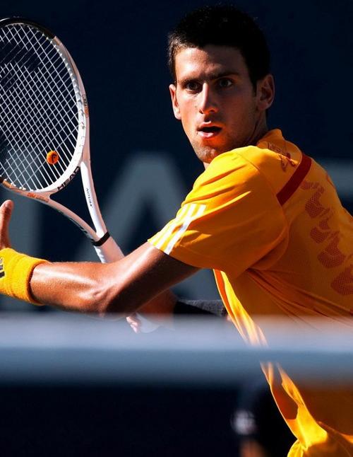 篮板的双能 篮板的双能